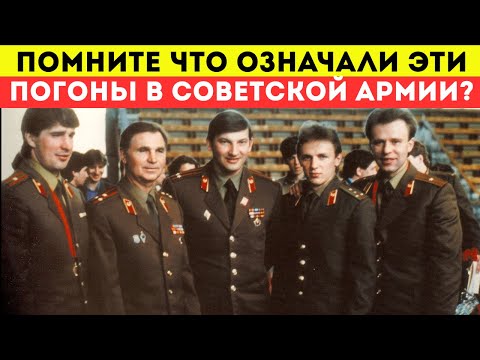 Что скрывалось за красными, синими, черными и зелеными погонами Советской Армии?