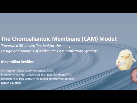The Chorioallantoic Membrane (CAM) Model - Maximilian Schäfer
