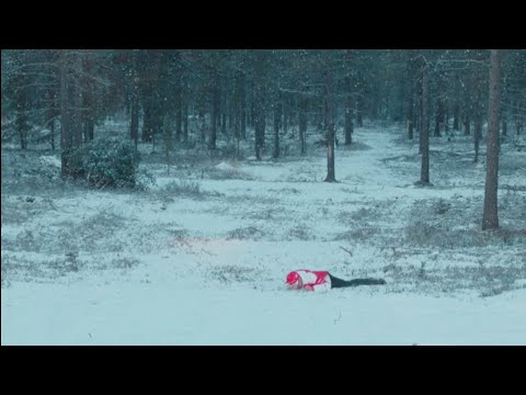 Kimi Raikkonen has drunk himself to death