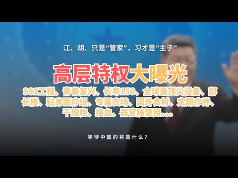 【高层的超级特权】：正国级27人每人每年3.5亿，副国级173人每人1.5亿，正部级千人每人1000万....丨为什么说江、胡、只是“管家”，习才是“主子”丨为什么全看着200斤乱搞，没人敢提意见？