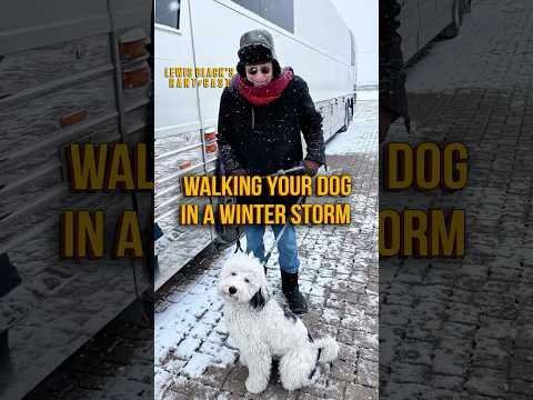 Walking Your Dog in a Winter Storm | Lewis Black's Rantcast shorts