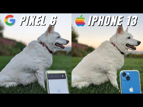 Google Pixel 6 vs iPhone 13 Camera Comparison