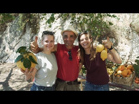 Tomatoes and Amalfi Lemons in Italy - Search for the Ultimate Bloody Mary
