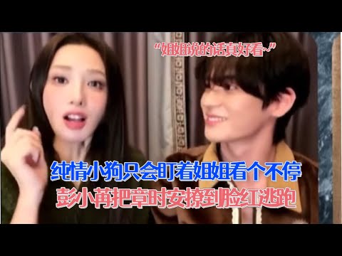 章时安就是盯姐狂魔！彭小苒轻轻一钓把章时安撩到脸红逃跑！龚俊老是在旁边嗑CP超开心！ #暗河传 #彭小苒 #章时安