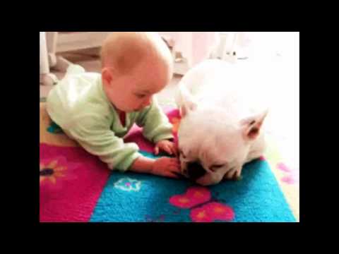 It's Not Rocket Science in Pummelvision