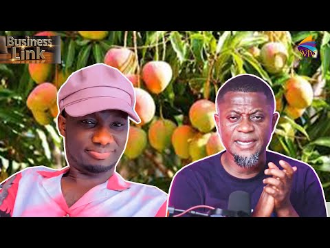 I Left Abroad After Setbacks; Turned 10Acres Into 100Acres Of Mango,Now Living Large In Ghana - Man