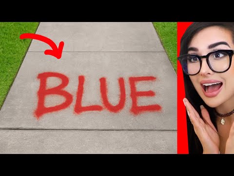 IMPOSSIBLE Don't Say The Same Thing Challenge