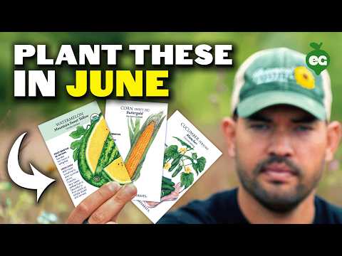 8 Crops You'd Be WILD Not To Plant in June!