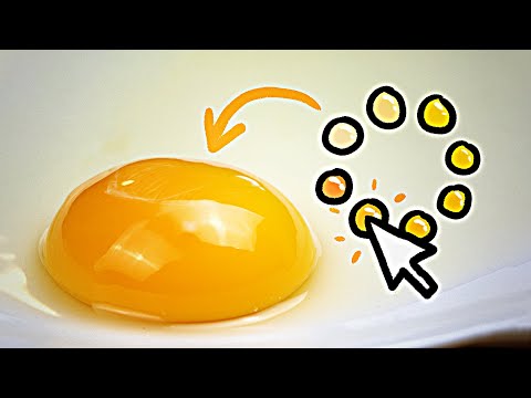 Egg color is engineered