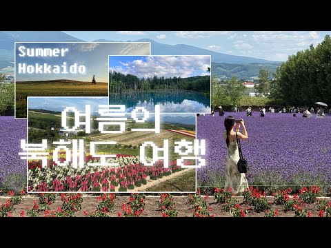 홋카이도 여름 여행: 삿포로 | 요이치 닛카 증류소, 오타루 | 후라노-비에이 렌트 | 아사히카와 1박