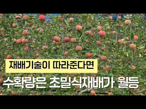 Second-Year Fall Management Tips for Multi-Cultivation Plants: Comparison of Multi-Cultivation an...