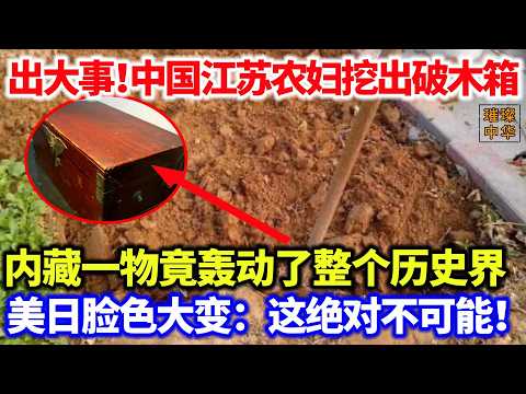 出大事!中国江苏一农妇挖出破木箱,内藏一物竟轰动了整个历史界,美日脸色大变:这绝对不可能!#奇闻奇事 #金印 #考古