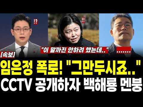 [속보] 임은정 폭로! "그만두시죠.." CCTV 공개하자 백해룡 멘붕.