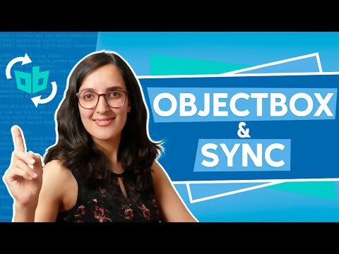 ObjectBox Tutorial - Flutter Local Database with Sync implementation