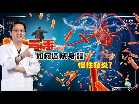｜直播｜毒素如何造成身體慢性發炎？｜腸胃霖負擔｜