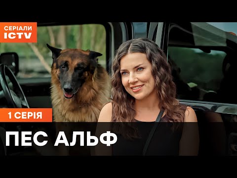 Dog Alf season 1 episode 1 | DETECTIVES | ICTV SERIES | COMEDIES | PREMIERE