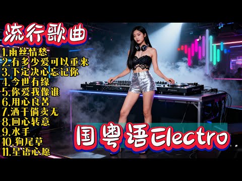 2026年度国粤语ElectroDJ热歌串烧车载U盘爆款舞曲劲爆DJ混音神曲集，女DJ实力现场呈现 【雨丝情愁】【有多少爱可以重来】【下定决心忘记你】永不过时的经典DJREMIX音乐合集 Vol.36