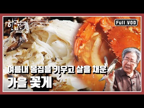 [한국인의밥상★풀버전] 가을의 문턱. 바다의 기운을 옹골지게 품고 돌아온 반가운 손님 “수컷의 진격, 가을 꽃게 밥상” (KBS 20140911 방송)