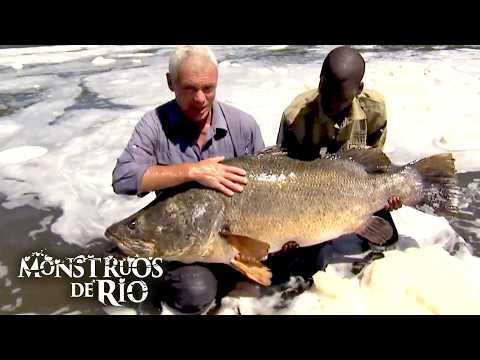 Perca del Nilo: El Pez Más Grande de África | T2 E05 | Monstruos de Río