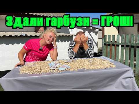 50 acres of pumpkins = money 💸 Rural business from A to Z