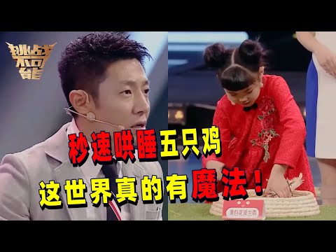 如何哄睡五只活蹦乱跳的小鸡?被小女孩抱住后五只鸡一秒入睡 神奇的哄睡动物魔力秀!| 挑战不可能 Impossible Challenge