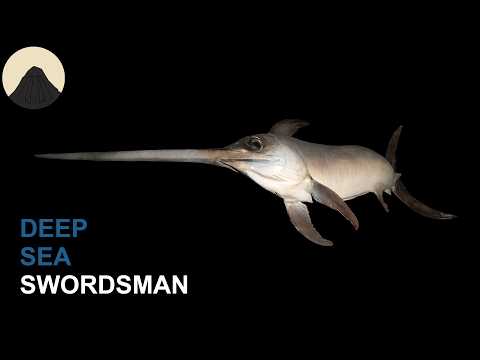 The Ridiculously Extreme Lives of Swordfish