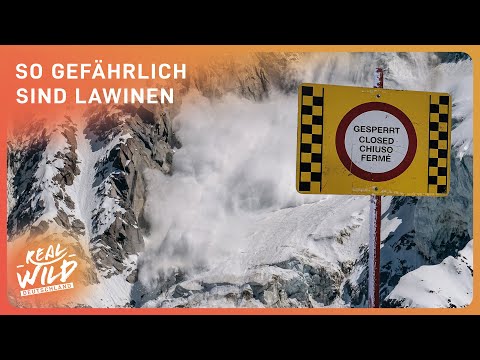 Der weiße Tod: Schnee Lawinen | Natur Doku