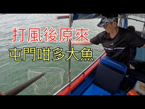 打風後原來屯門咁多大魚