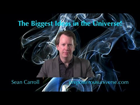 The Biggest Ideas in the Universe | 20. Entropy and Information