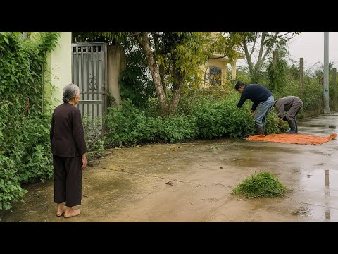 Grandson helps Grandma renovate the abandoned house and clean up the overgrown garden