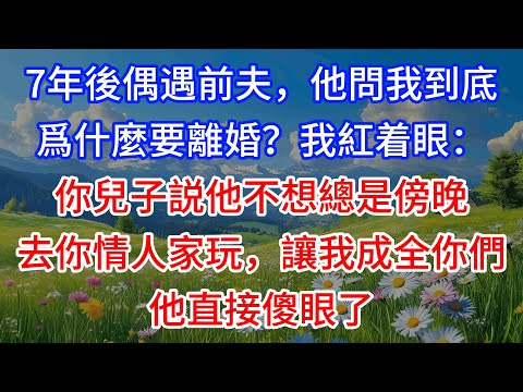 【完結】7年後偶遇前夫，他問我到底爲什麼要離婚？我紅着眼：你兒子説他不想總是傍晚去你情人家玩，讓我成全你們，他直接傻眼了