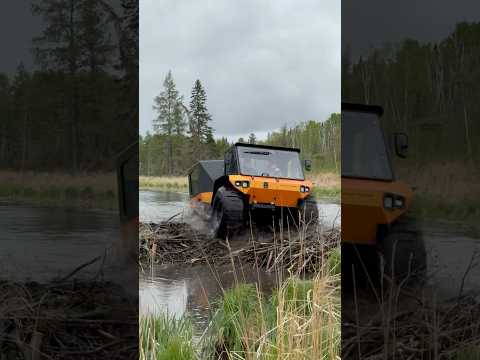 Swamp Rider Climbing Sketchy Beaver Dam!