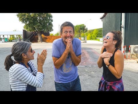 HARVESTING GRAPES IN ITALY!