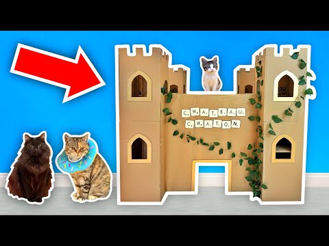 I Built A CASTLE For My KITTEN!