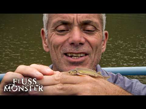 Jeremy beginnt mit winzigen Fischen und endet mit einem Riesen-Flussmonster!