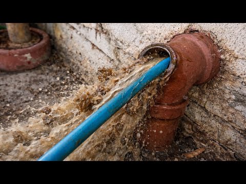 Her last plumber ripped her off, so she hired me.