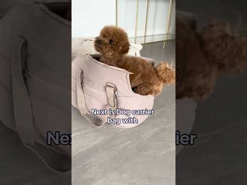 Dropshipping is Made Easy Selling these Products