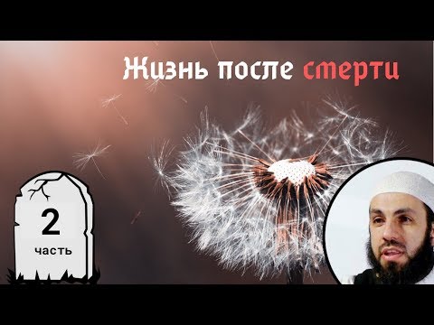 Жизнь в аль-Барзахе (Загробном мире). 2-я часть. Жизнь после смерти | Билял Асад (rus sub)