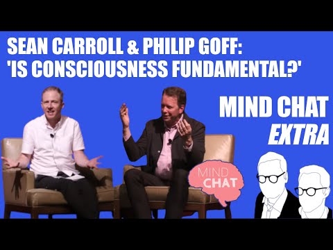 Sean Carroll & Philip Goff Debate 'Is Consciousness Fundamental?'