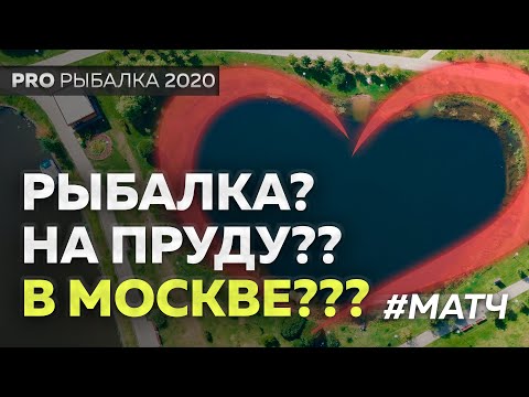 Нестандартная рыбалка в Братеево. МАТЧ + Эксперимент!