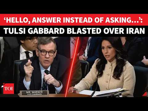 ‘Give Answers, Not Lecture On Iran…’: Tulsi Gabbard Shocked As Warner Goes Ballistic Over Iran War