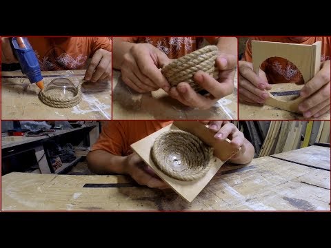 Гнезда и гнездовые основы.