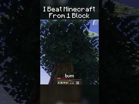 Part 17. I Beat Minecraft From 1 Block