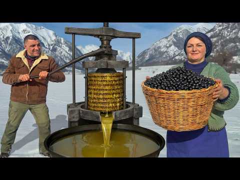 How Olive Oil is Made The Traditional Way In The Village