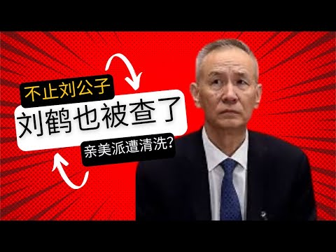 刘鹤父子被查｜亲美派遭清洗
