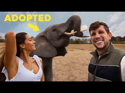 WE ADOPTED THIS ELEPHANT (Kenya Africa)