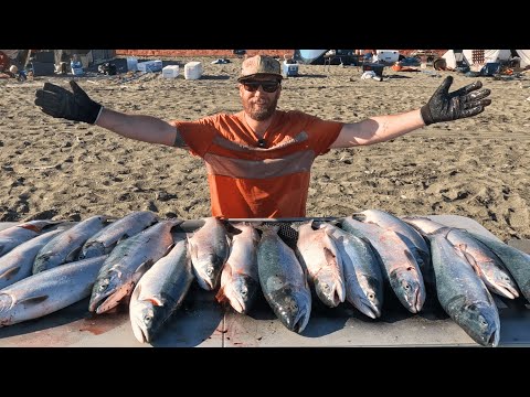 Dip Netting the Kenai River: A Year's Worth of Alaskan Sockeye Salmon