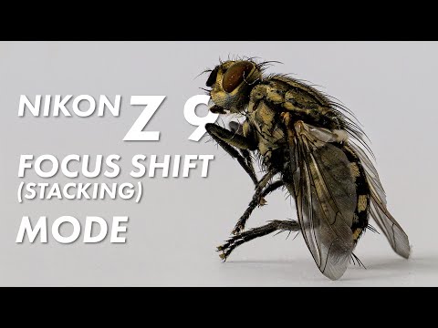 How to Use Focus Shift (Stack) with Nikon Z 9, Z 8, Z 7, Z 6