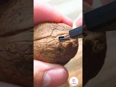genius walnut hidden spy camera #walnut #diy #spy #camera