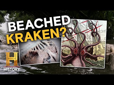 Craziest Paranormal Experiences | The Proof Is Out There | History